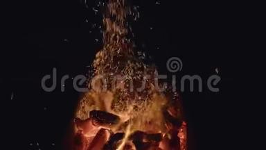 煤炭。 烧烤串里的木炭烧起来了。 火在燃烧。 去烧烤吧。 烧烤火。